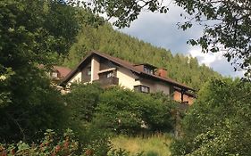 Haus Agnes, Murau